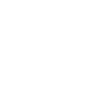 bajaj.webp