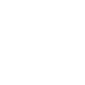 freedom.webp