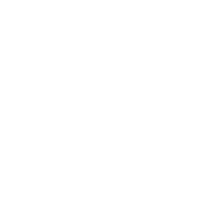 rox.webp
